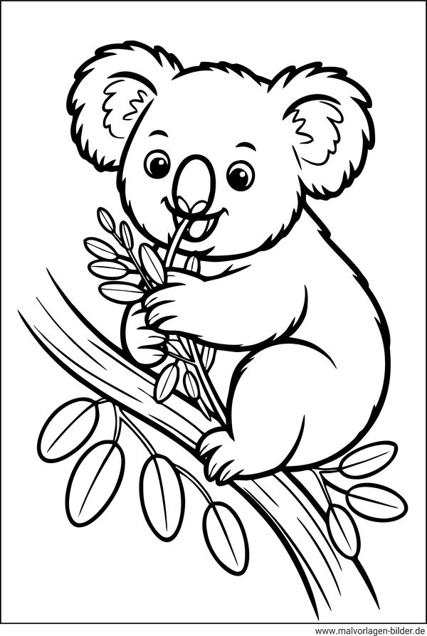 Koala beim Fressen Ausmalbild