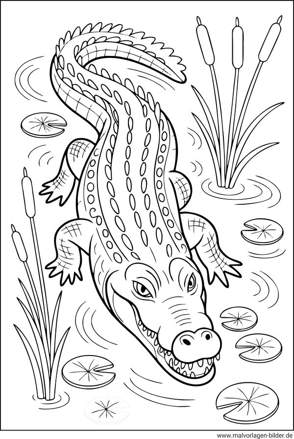 Krokodil Ausmalbild zum Ausmalen