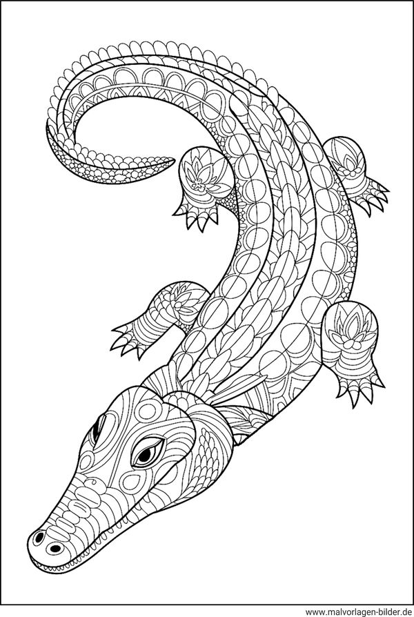 Krokodil mit Mustern Ausmalbild Erwachsene