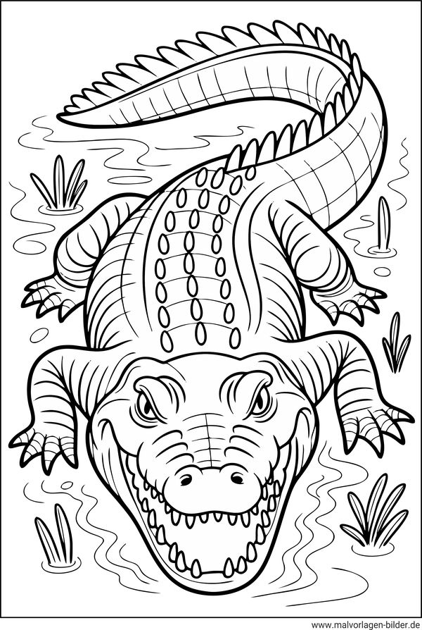 Wildes Krokodil Ausmalbild