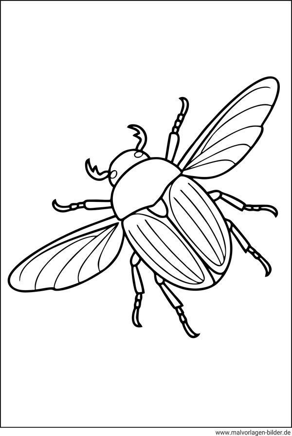 Ausmalbild Maikaefer fliegt