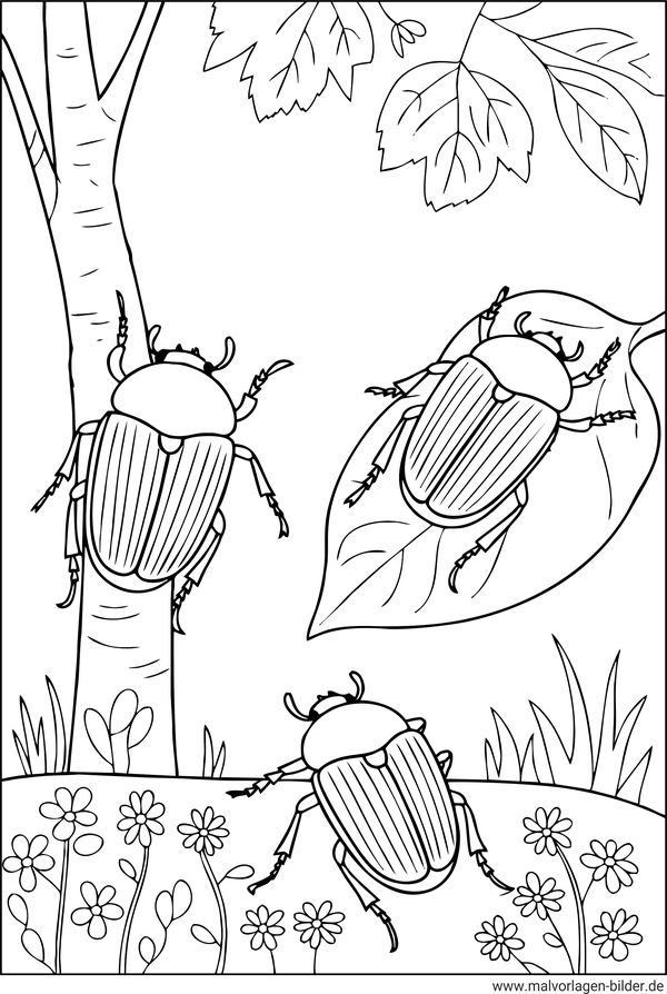 Käfer krabbeln in der Natur Ausmalbild