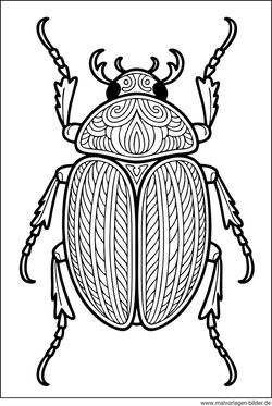 Käfer mit Muster Ausmalbild für Erwachsene kostenlos