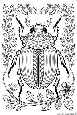 Maikäfer Natur Muster und Symbole Malvorlage für Erwachsene