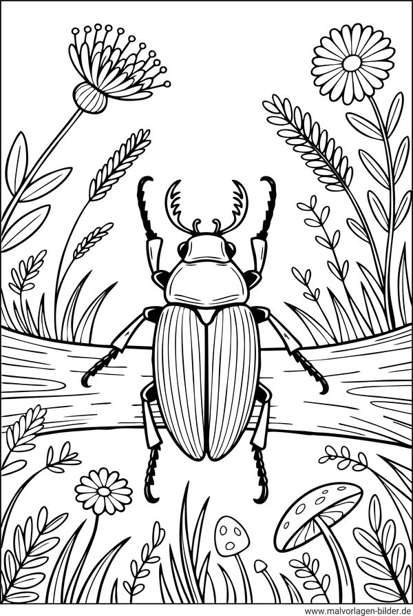 Maikäfer und Blumen Ausmalbild für Erwachsene gratis drucken