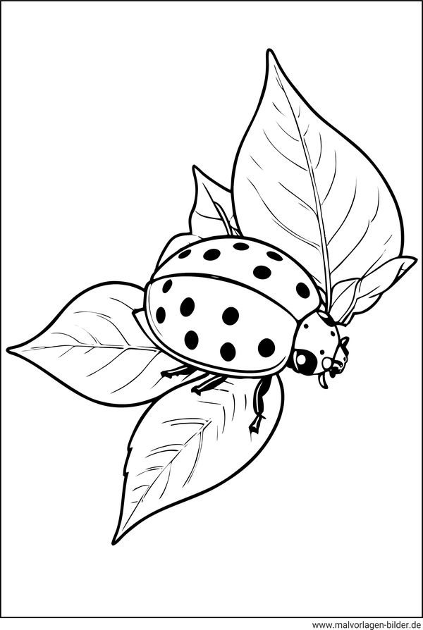 Marienkäfer auf Blätter Ausmalbild für Erwachsene