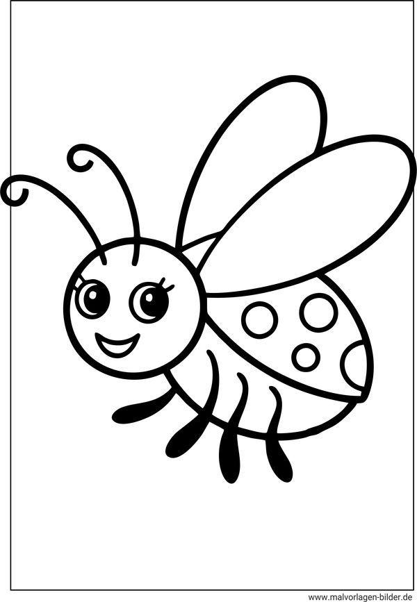 Marienkäfer mit Flügel Malvorlage Kindergarten