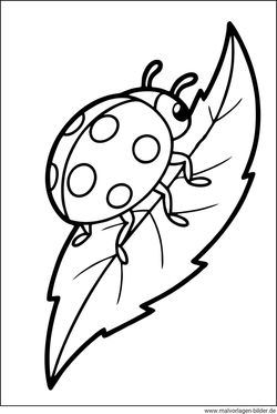 Marienkäfer Malvorlage zum Herunterladen als PDF Vorlage