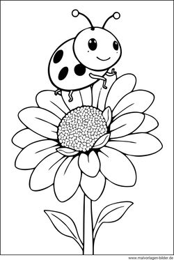 Marienkäfer Sonnenblume Malvorlage ausmalen