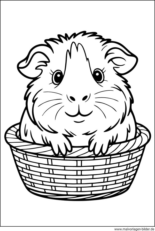 Ausmalbild Meerschweinchen in einem Korb