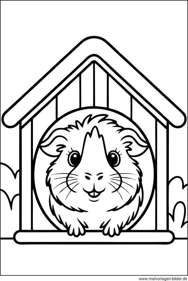 Ausmalbild Meerschweinchen schaut aus einem Häuschen