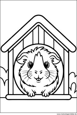 Ausmalbild Meerschweinchen zum gratis Download