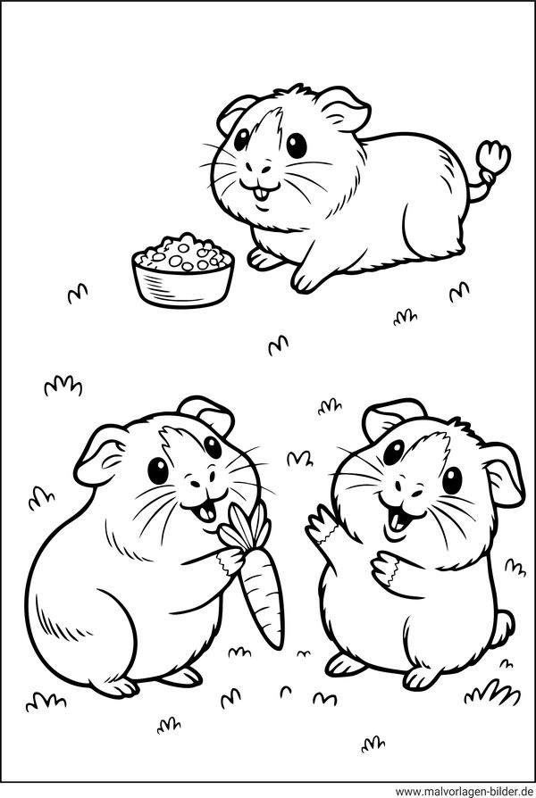 Meerschweinchen beim Fressen Ausmalbild