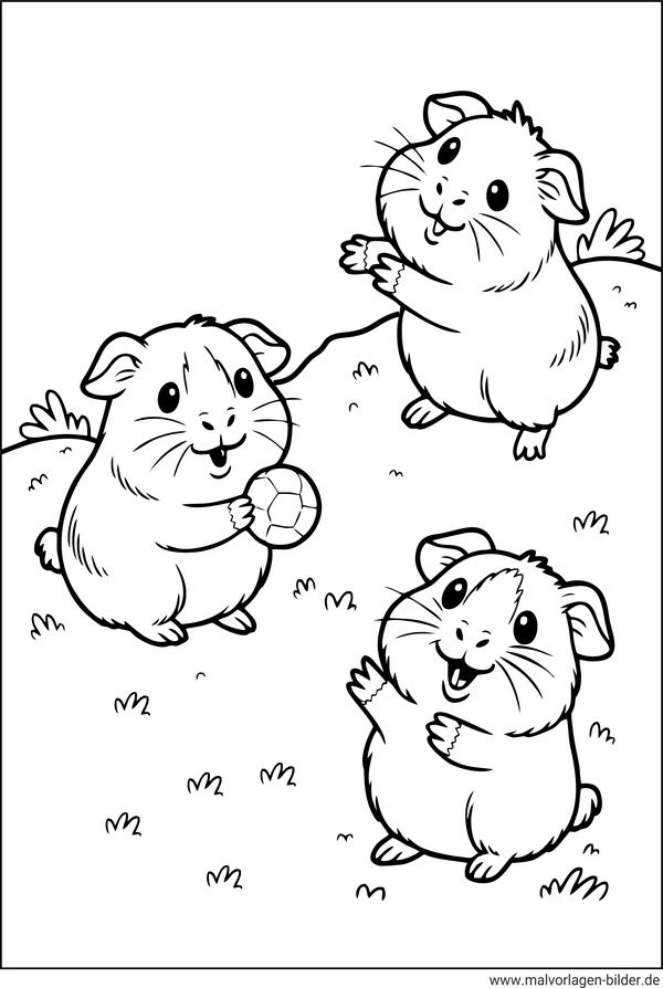 Meerschweinchen beim Spielen Ausmalbild