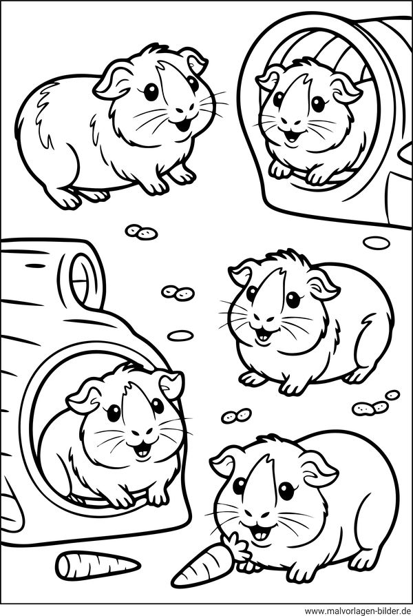 Meerschweinchen Familie Ausmalbild