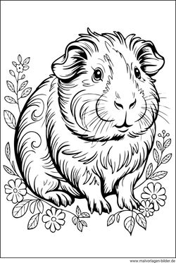 Meerschweinchen Malvorlage für Erwachsene