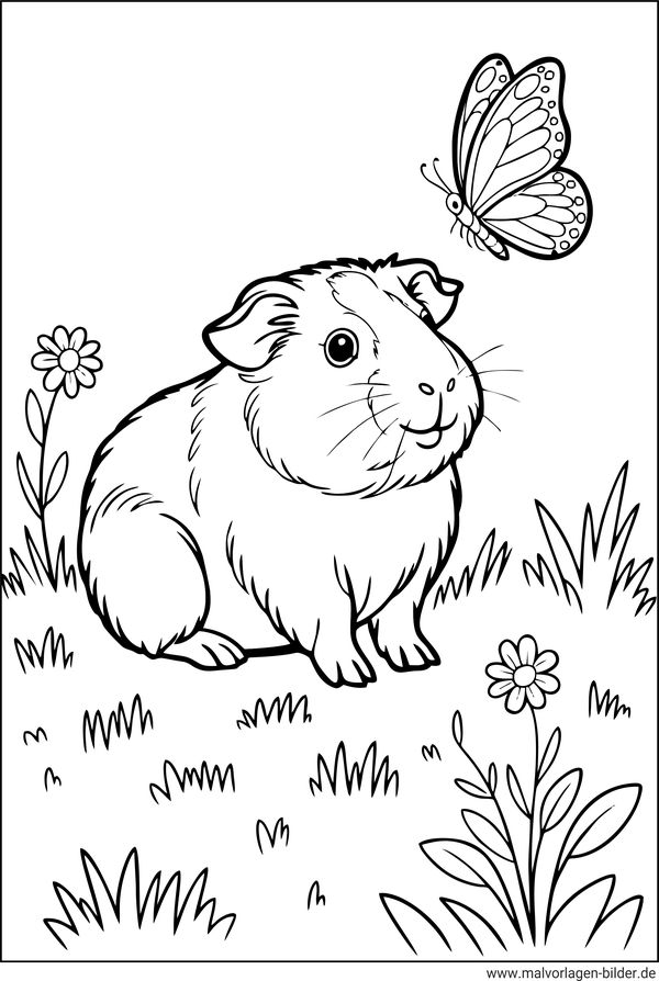 Meerschweinchen Schmetterling Ausmalbild