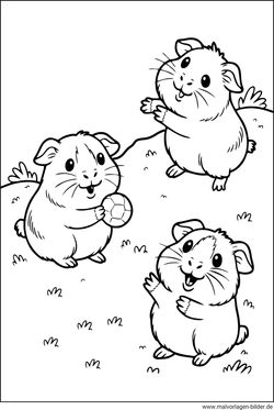 Meerschweinchen spielen Ausmalbild kostenlos drucken
