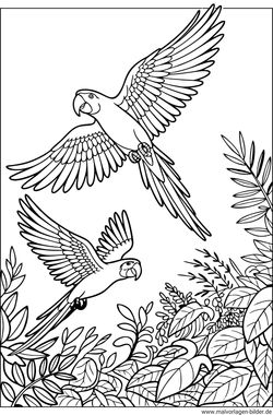 Ara Papageien fliegen Ausmalbild
