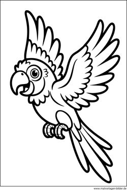Papagei Fliegt Malvorlage gratis