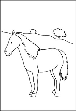 Malvorlage - Pferd auf der Weide