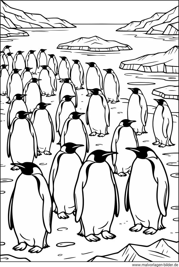 Ausmalbild Pinguinkolonie