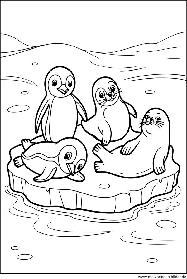 Pinguine und zwei Robben Ausmalbild kostenlos
