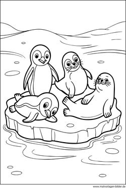 Pinguine und Robben auf einer Eisscholle Ausmalbild