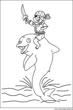 Pirat Delfin Malvorlage ausdrucken