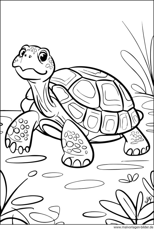 Landschildkröte Ausmalbild