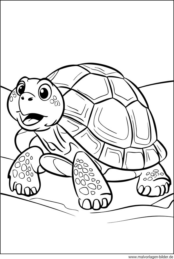Schildkröte Ausmalbild zum Ausdrucken