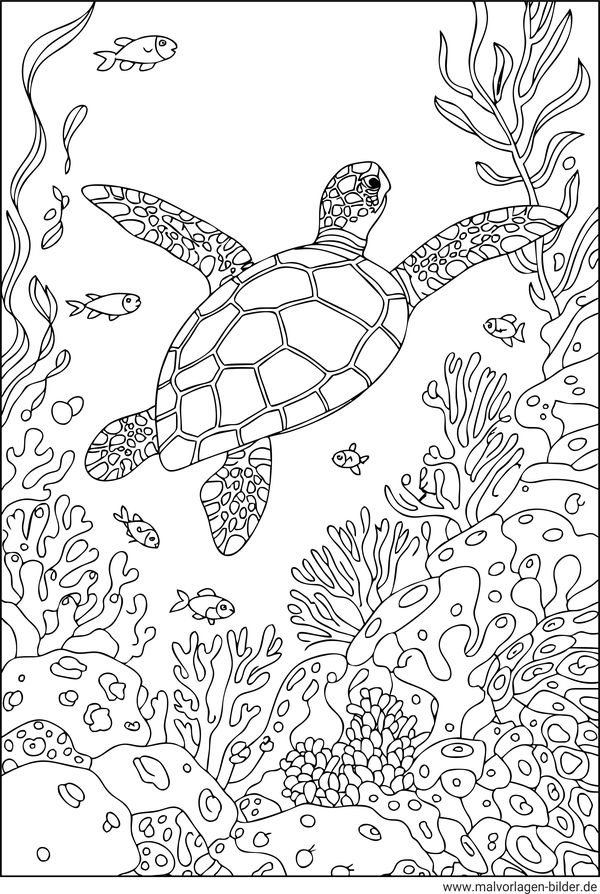 Wasserschildkröte Ausmalbild für Erwachsene