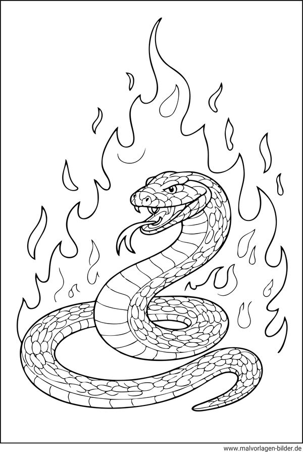 Ausmalbild Schlange und Feuer