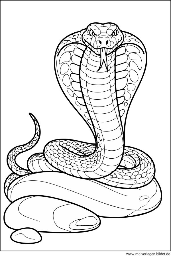 Kobra Schlange Ausmalbild