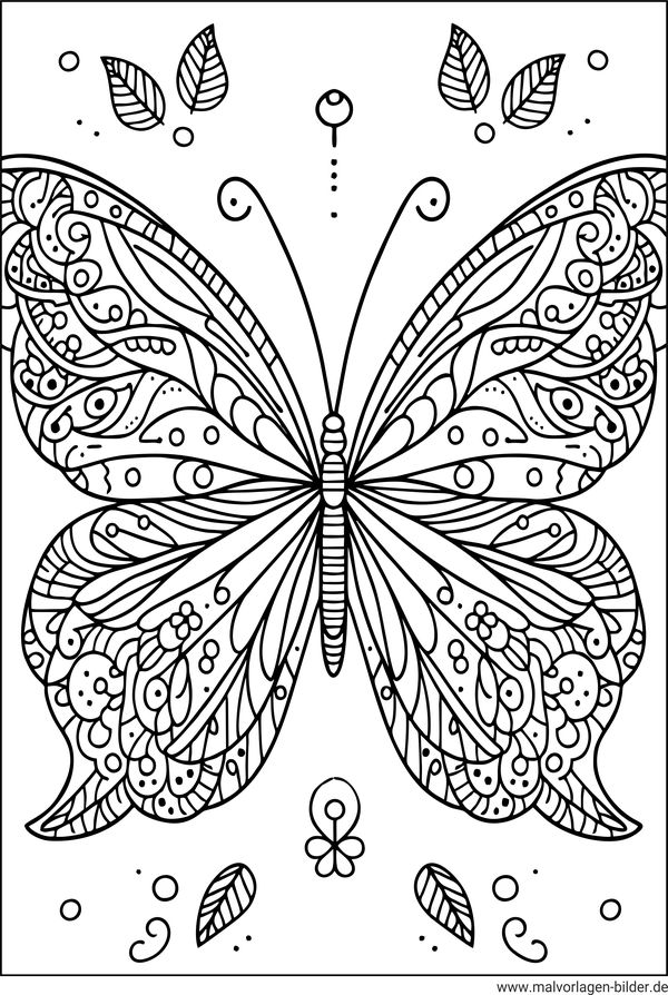 Schmetterling Malvorlagen für Erwachsene