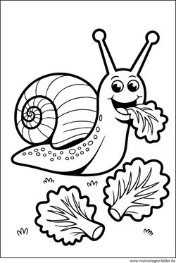 Ausmalbild Schnecke frisst Blätter