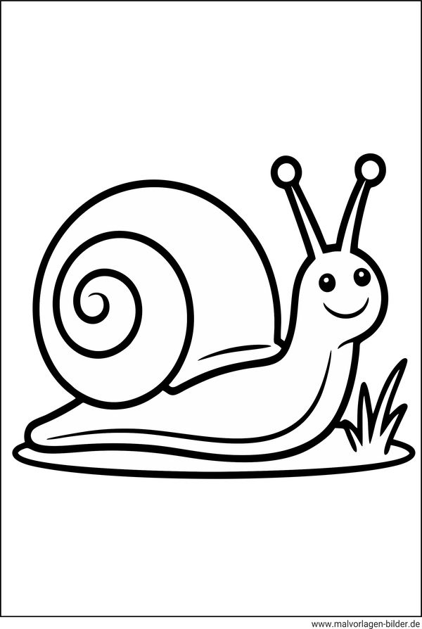 Schnecke Ausmalbild einfach