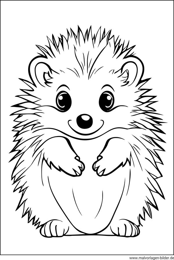 Egel Igel Ausmalbild Egels Kleurplaten Kleurplaat Herissons Colorat 
