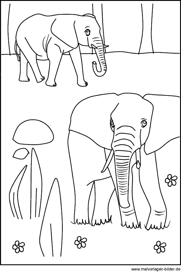 elefanten bilder zum ausdrucken kostenlos