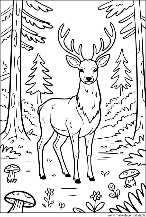 Ausmalbild Rothirsche
