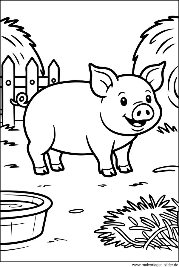Ausmalbild Schwein