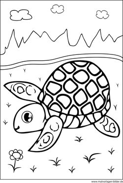 Ausmalbild - Baby Schildkröte Malvorlage ausdrucken