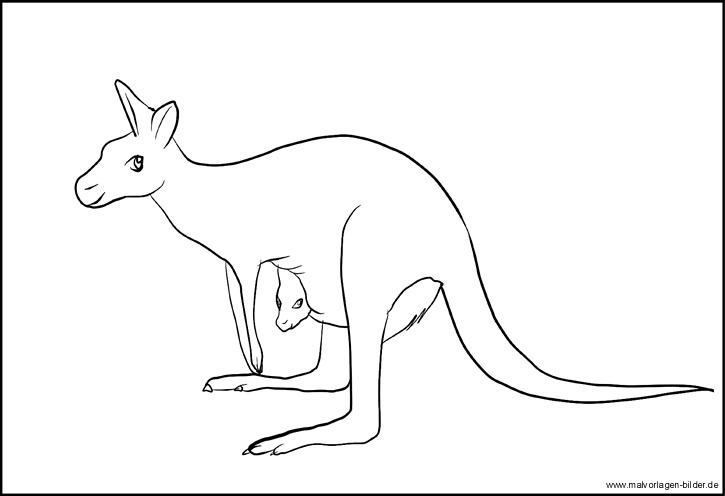 Känguru Malvorlage und Ausmalbild