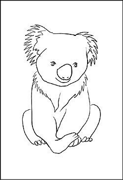 Koalabär Malvorlage