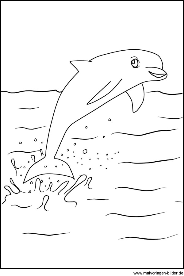 ausmalbilder meerjungfrau mit delfin  tippsvorlage