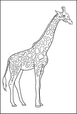 Giraffe als Malvorlage