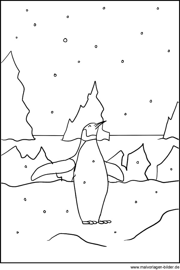 Pinguin als Malvorlage und Windowcolor Vorlage - Ausmalbilder von Tiermotiven für Kinder