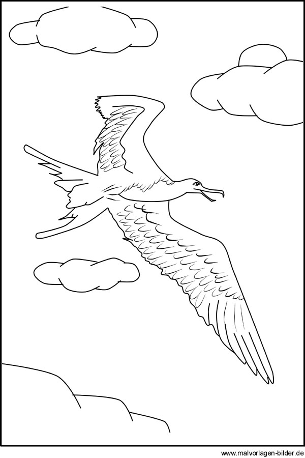 Vogel Möve - Windowcolor Bild und Ausmalbild