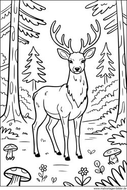 Rothirsche Ausmalbild ausdrucken gratis