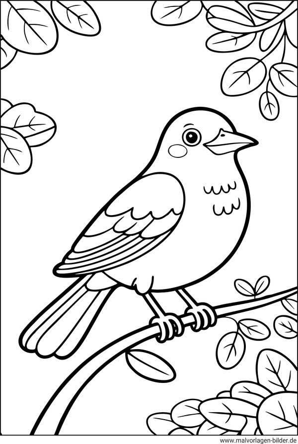 Amsel Vogel-Ausmalbild